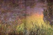 Claude Monet Water Lilies at Sunset oil painting on canvas